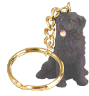 KeyChain.gif (55444 bytes)