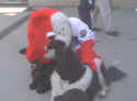 Pebbles Kissing Orbit the Mascot